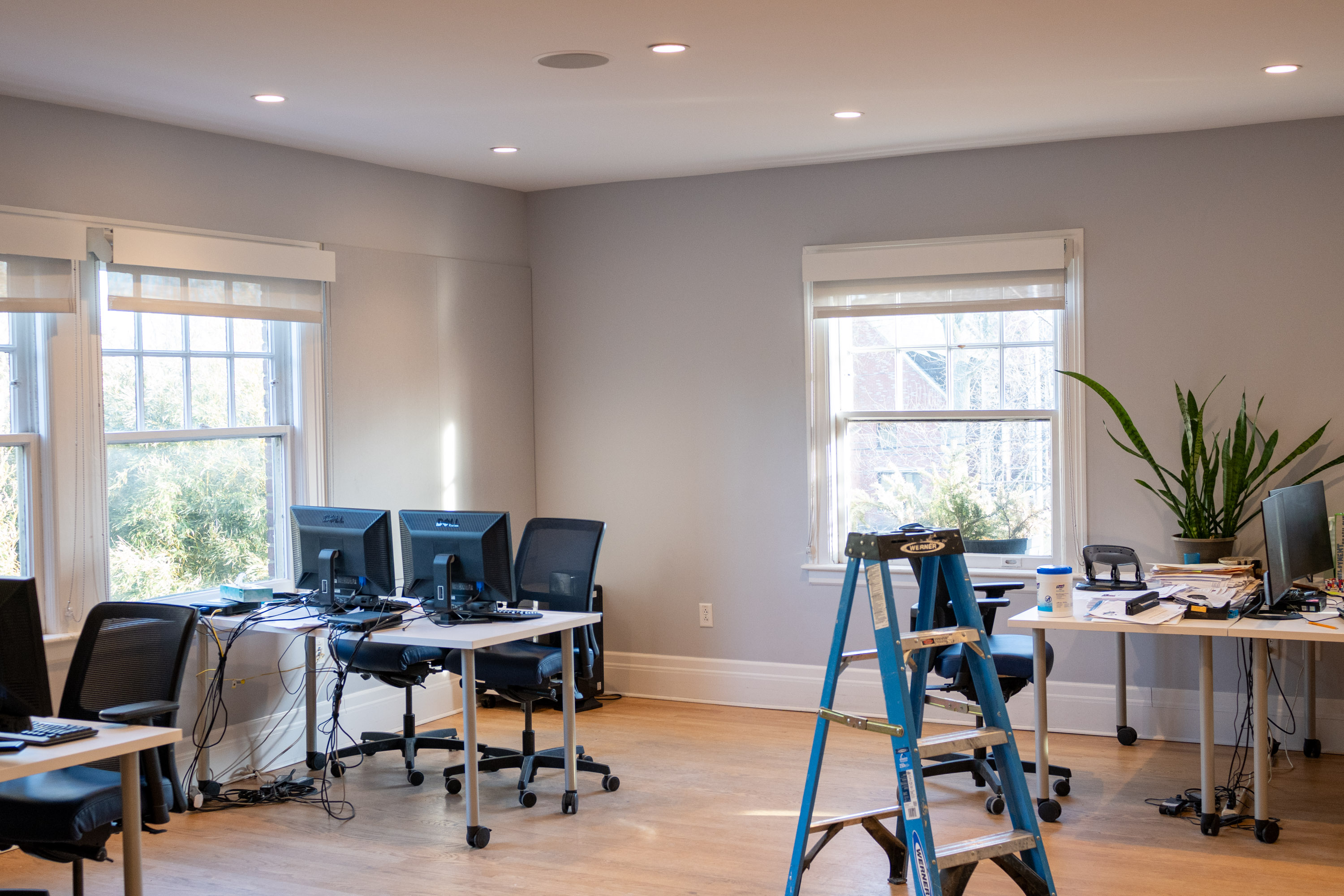 Freshly painted office space by IMG